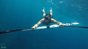 水上スキー＆サブウィング体験（専用送迎付き）－フルガダ