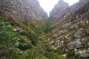 Tafelberg Wanderung (Via Platteklip)