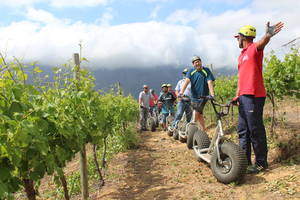 Stellenbosch Scootours @ Banhoek