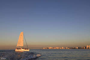 Sunset 1.5 Hour - Escape Cat