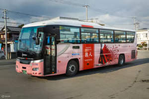 후쿠오카 시티 원데이 패스