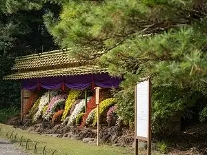 新宿御苑