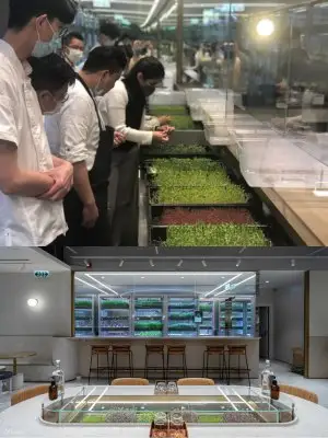 「种子直送餐桌」手工薄饼制作 与 智能水耕农场导览