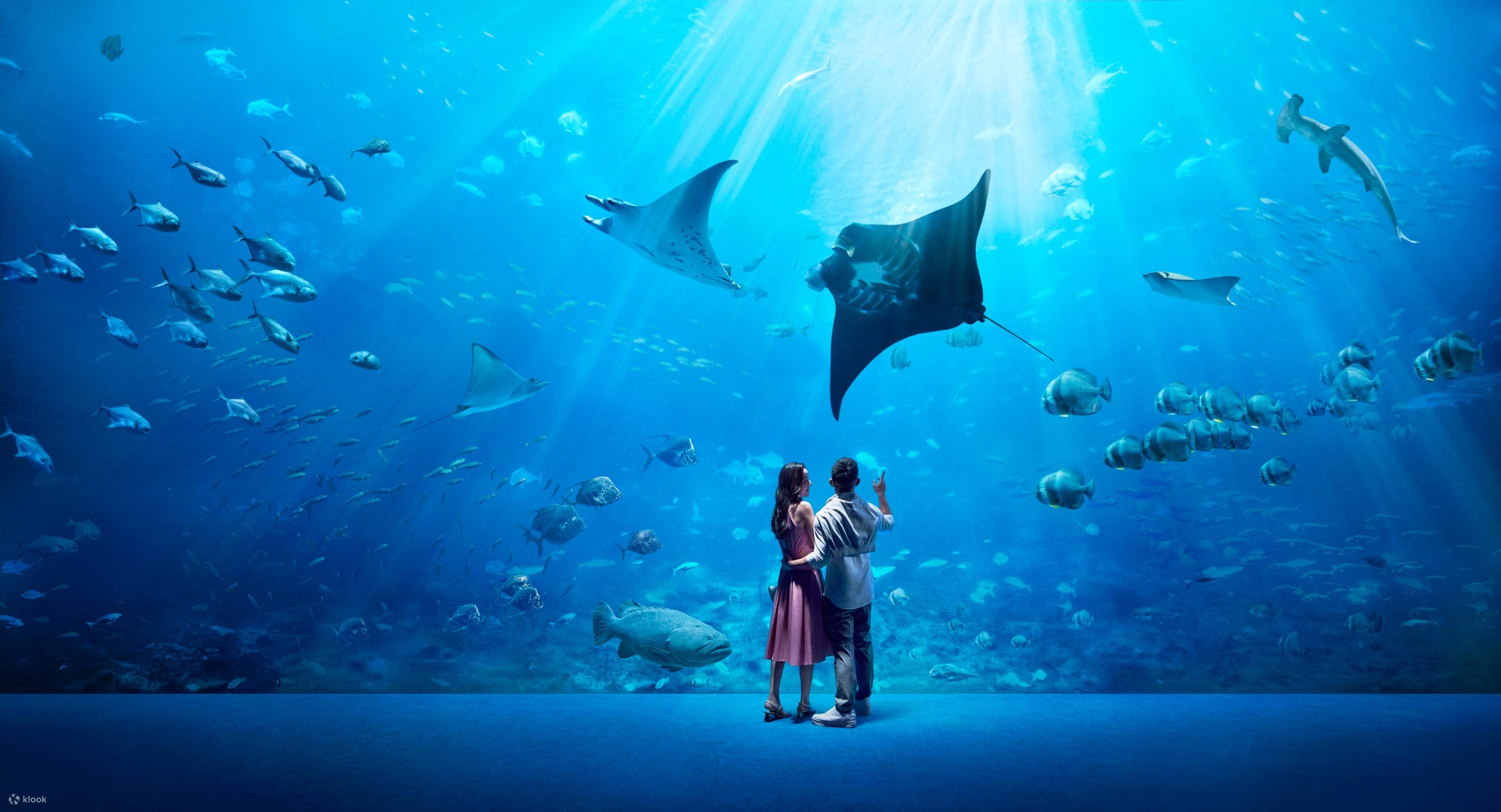 S.E.A. Aquarium Ticket in Sentosa Klook United States