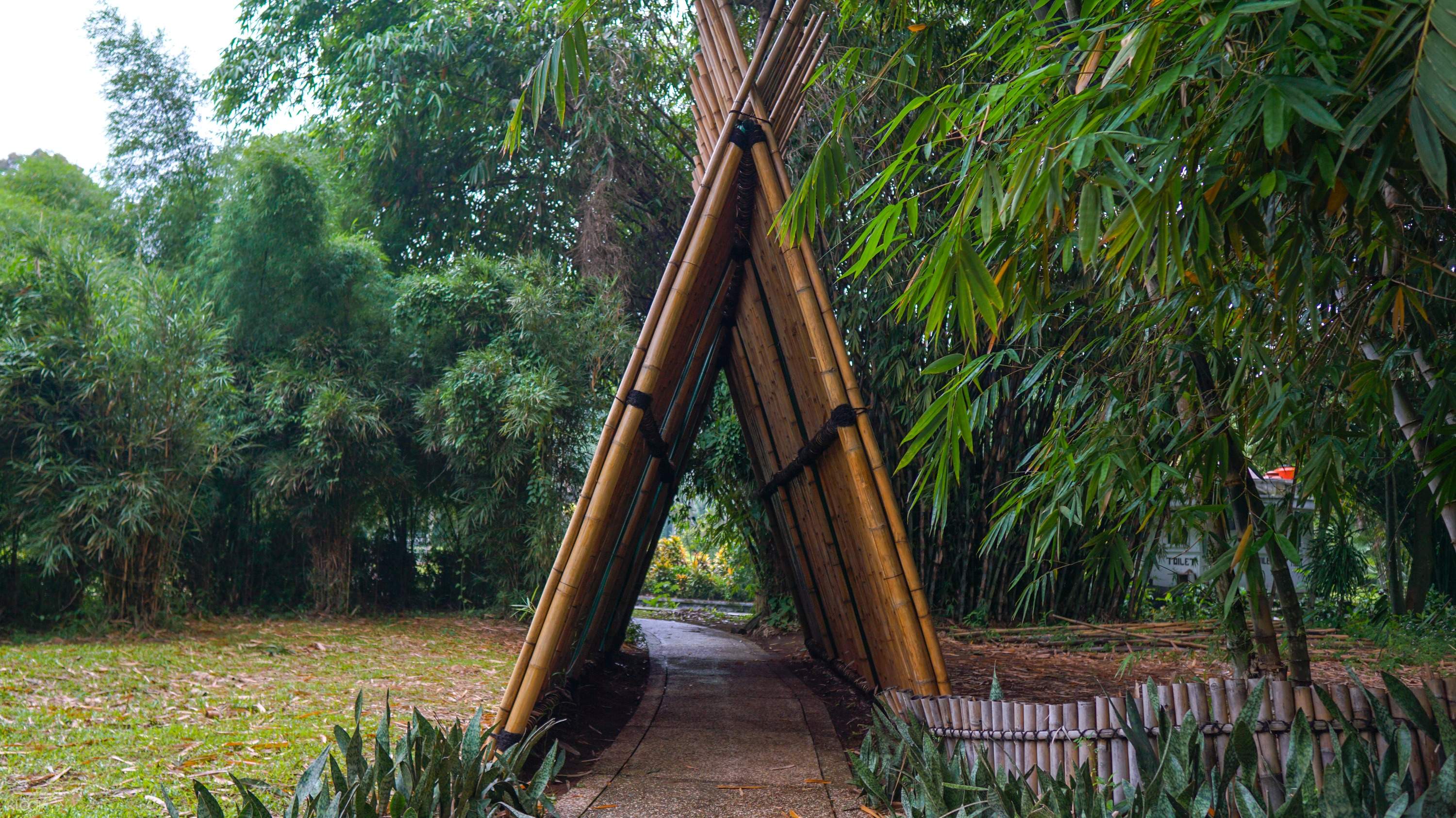 Kebun Raya Bogor Ticket