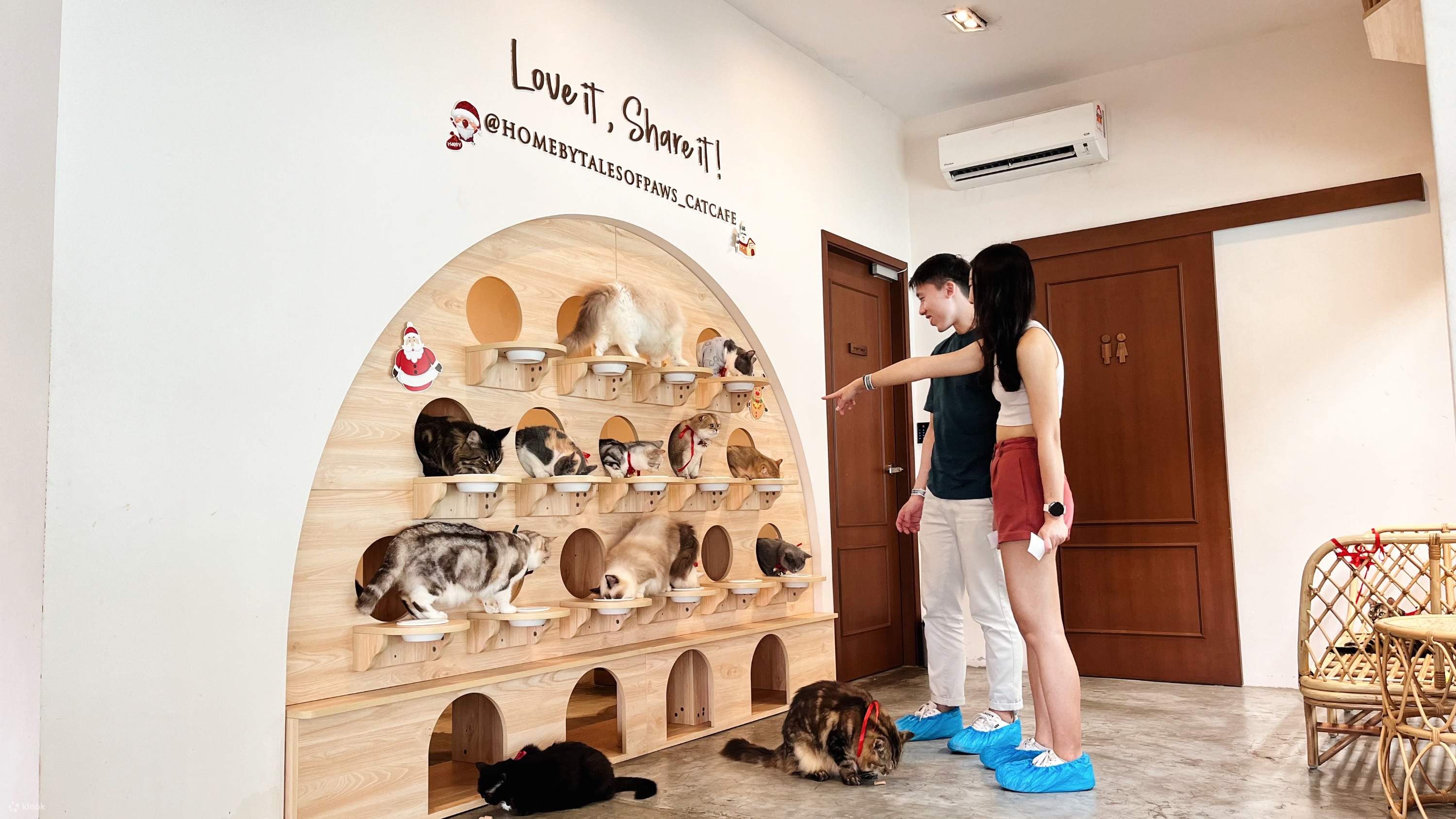 HOME by Tales Of Paws Ticket Cat Cafe in Johor Bahru Klook India
