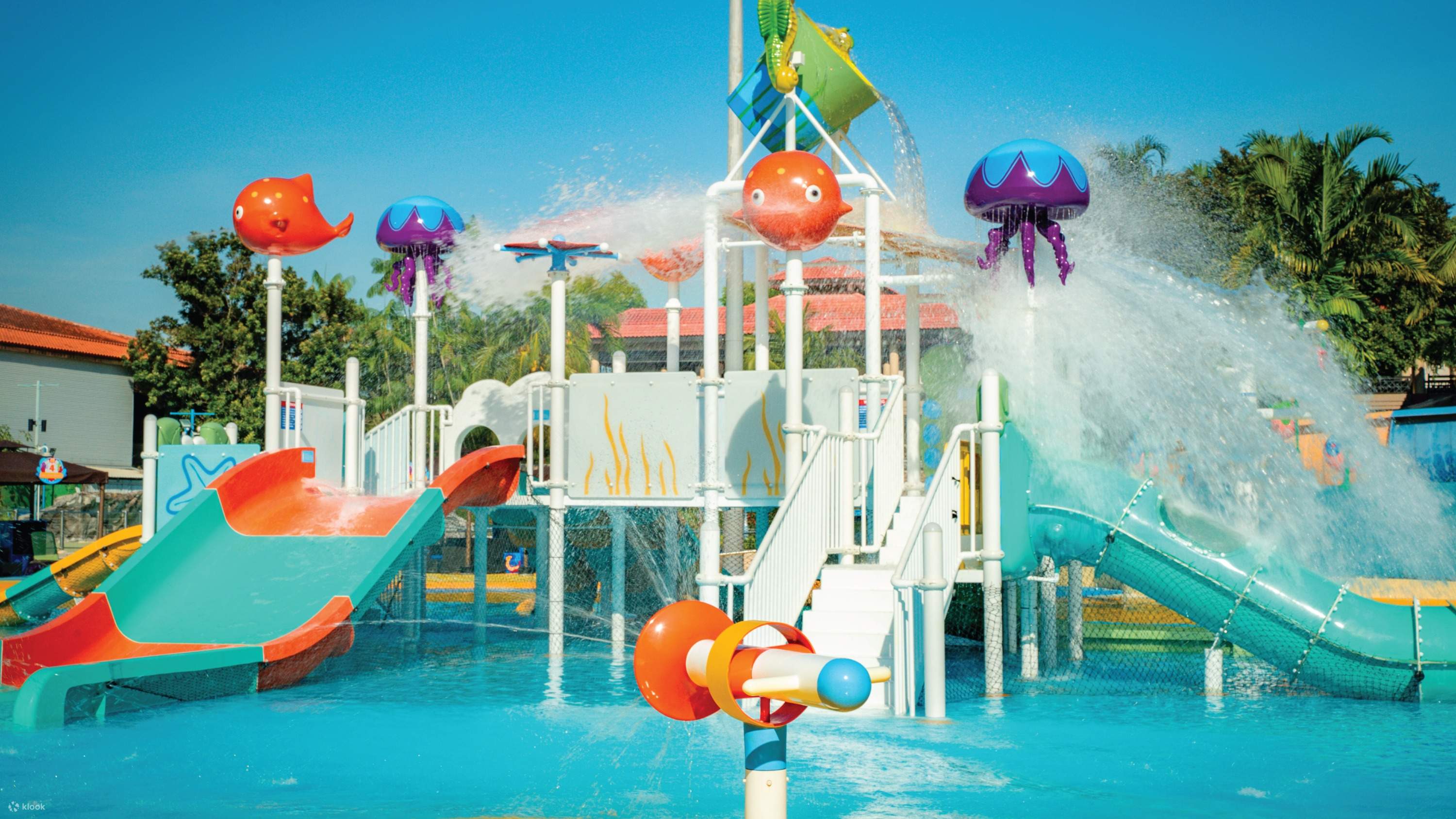 Book Singapore Wild Wild Wet Tickets Online Klook India