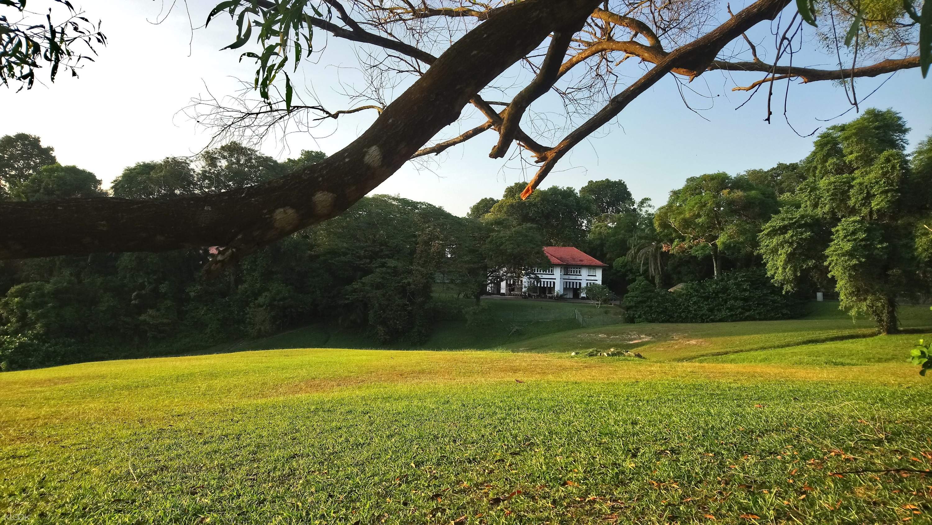 Sg Walk The Colonial Queenstown By X Trekkers Klook Singapore