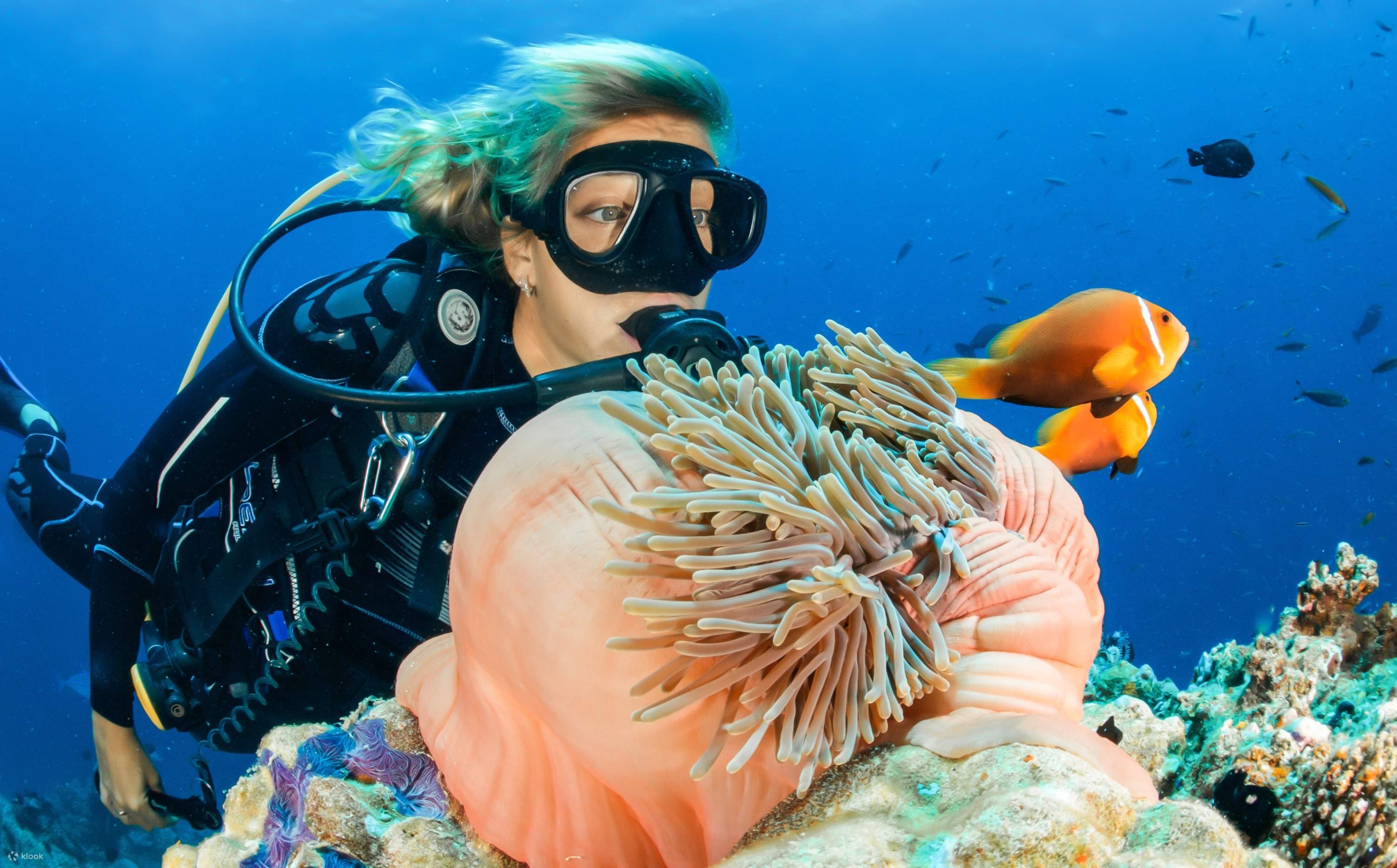 Bali Beginner Scuba Diving Experience, Indonesia - Klook Canada