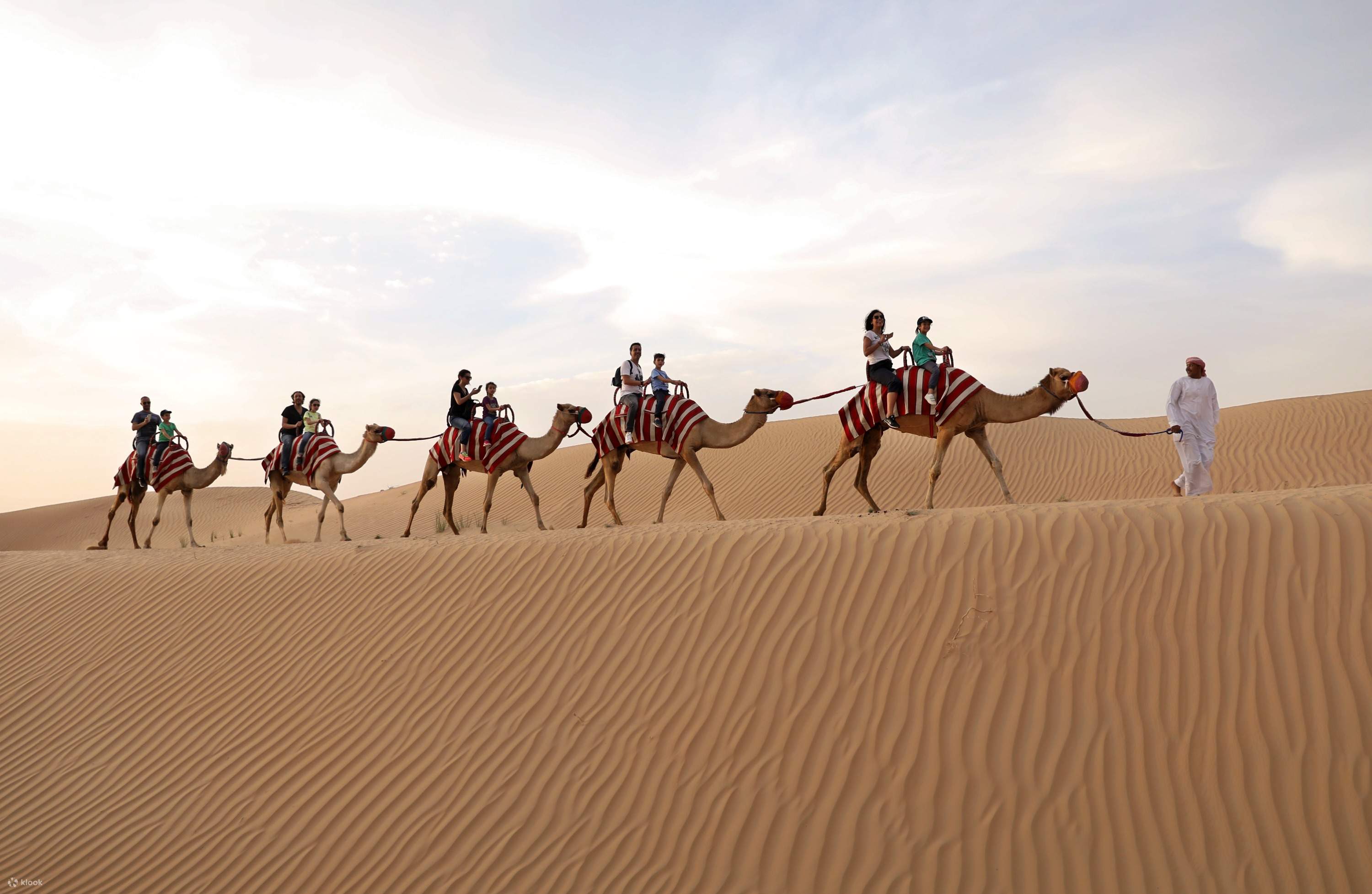 Desert Journey 