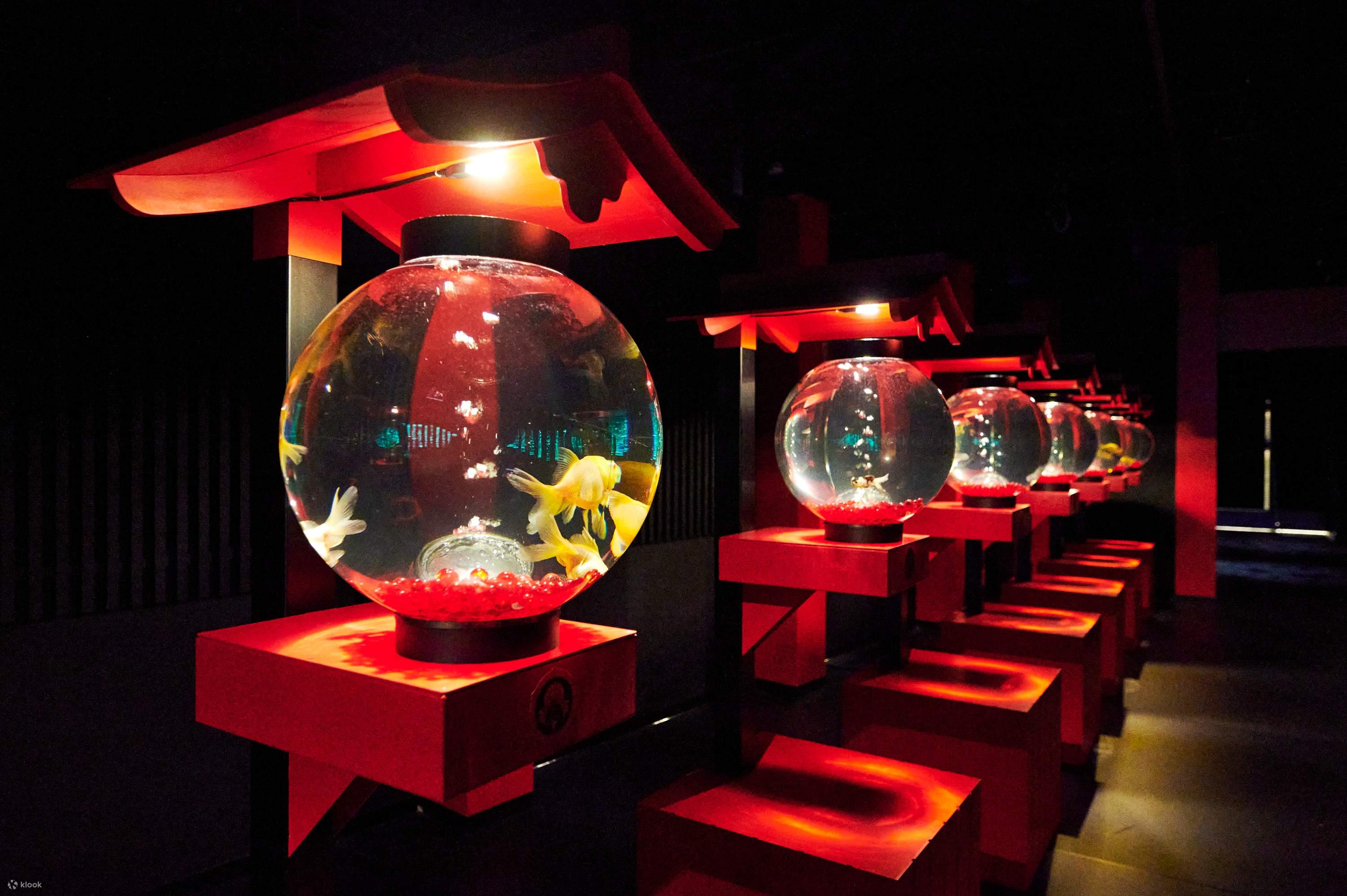 The Fish Tanks In This Tokyo Art Aquarium Are Beyond Awesome