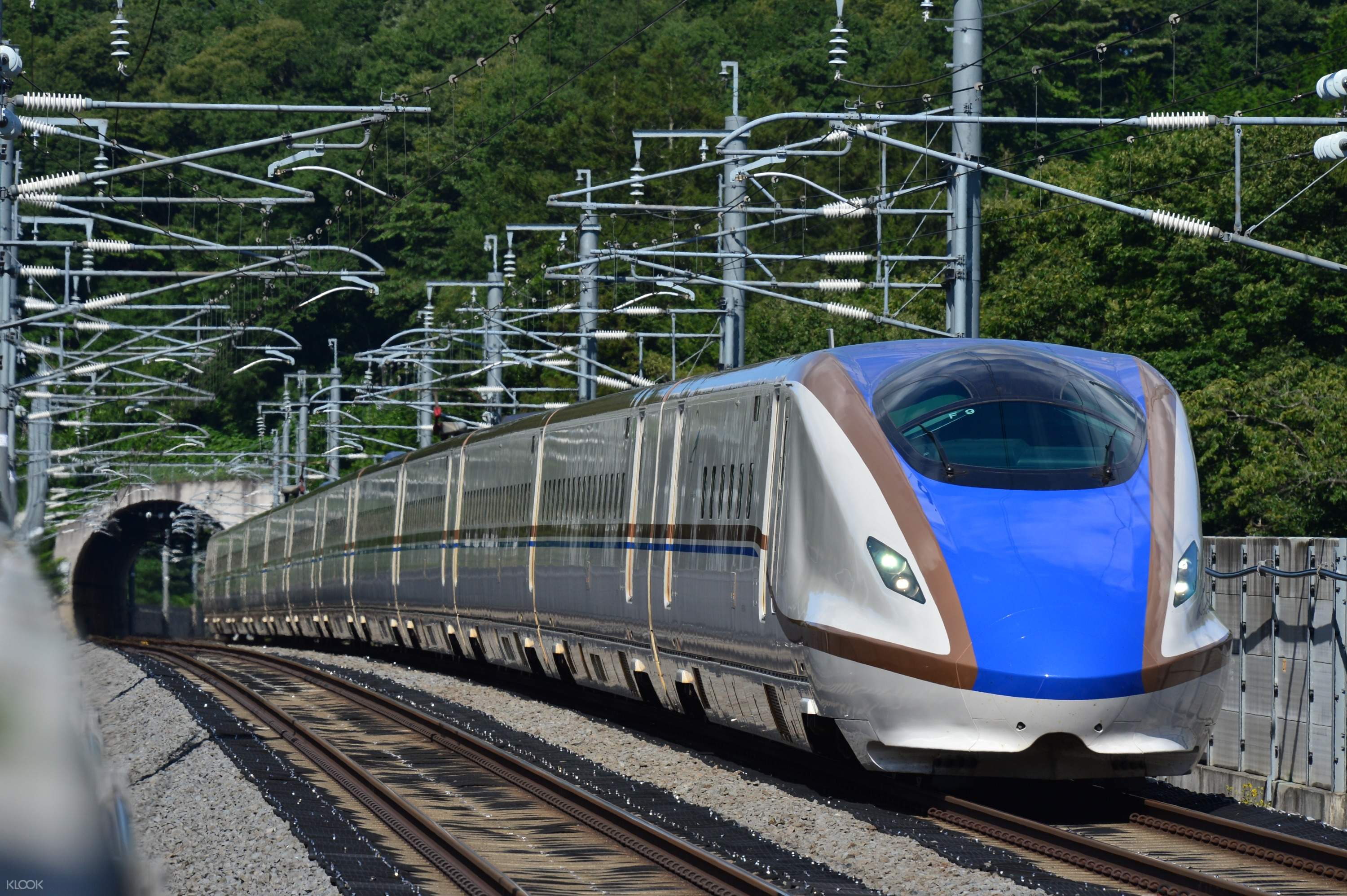 Jr東日本鐵路周遊券 長野 新潟地區 5天 Klook客路台灣