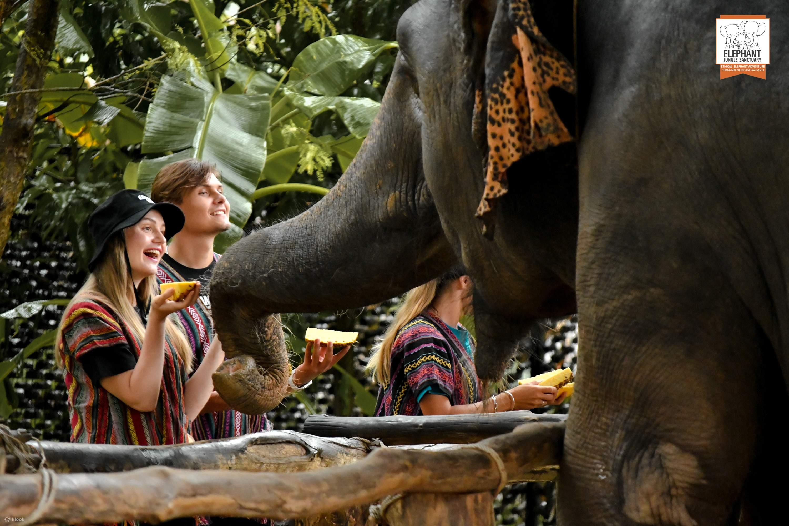Experience　Elephant　Sanctuary　Klook　Jungle　Phuket　Singapore