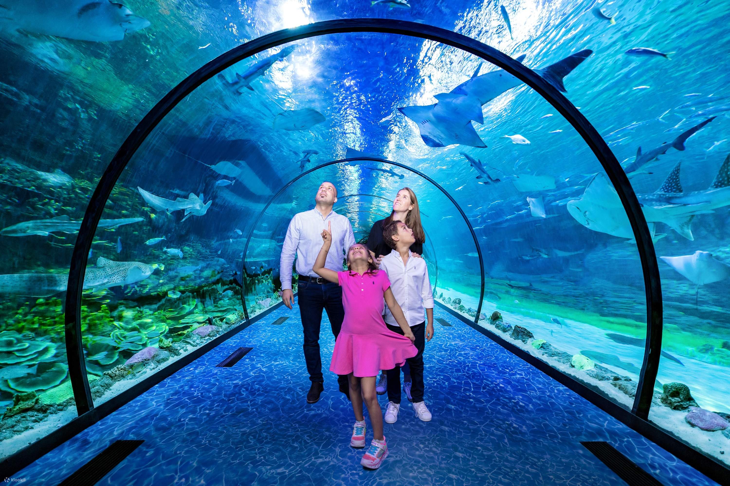 The National Aquarium Admission in Abu Dhabi - Klook Canada
