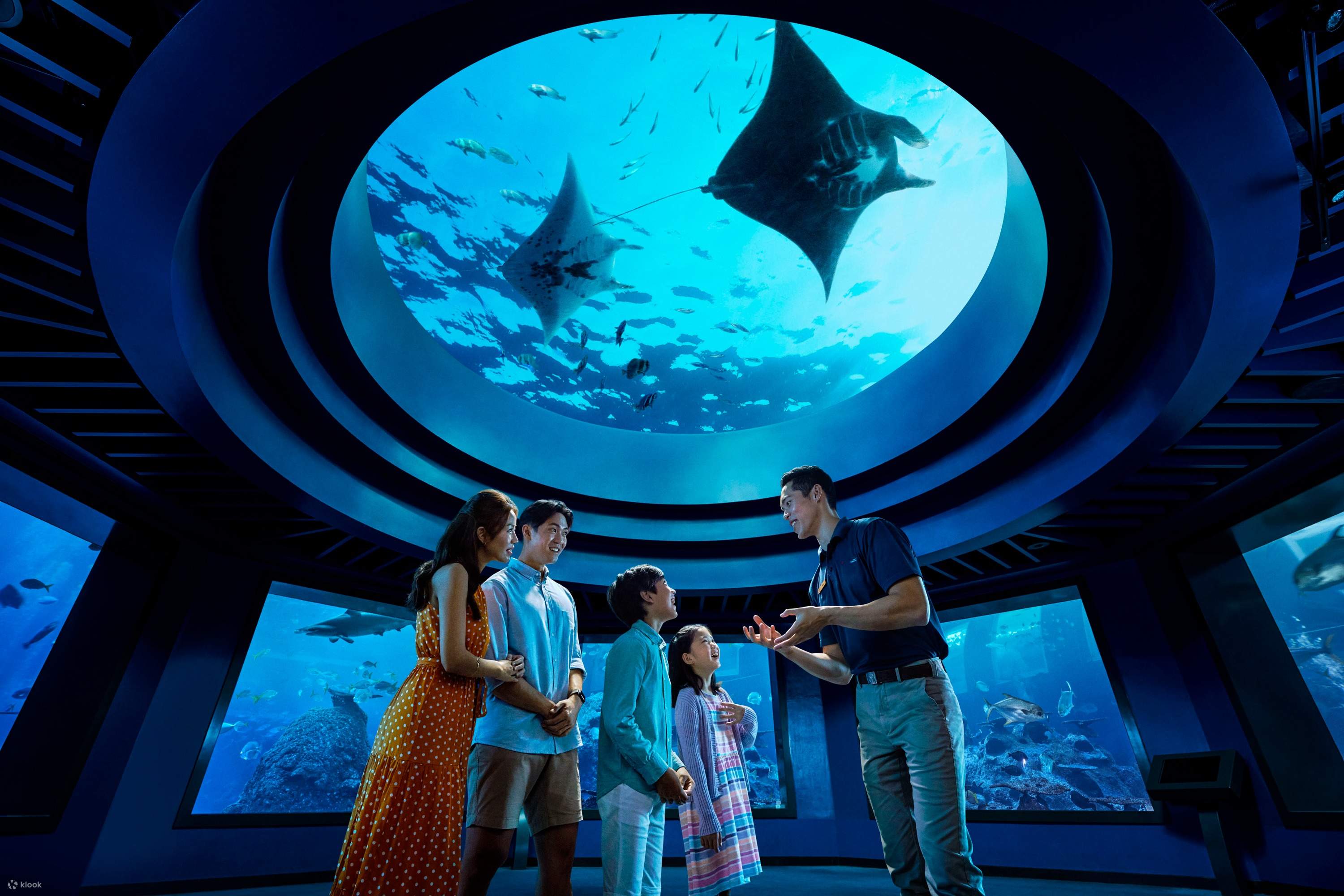 S.E.A. Aquarium VIP Tour Ticket; Singapore - Klook Philippines