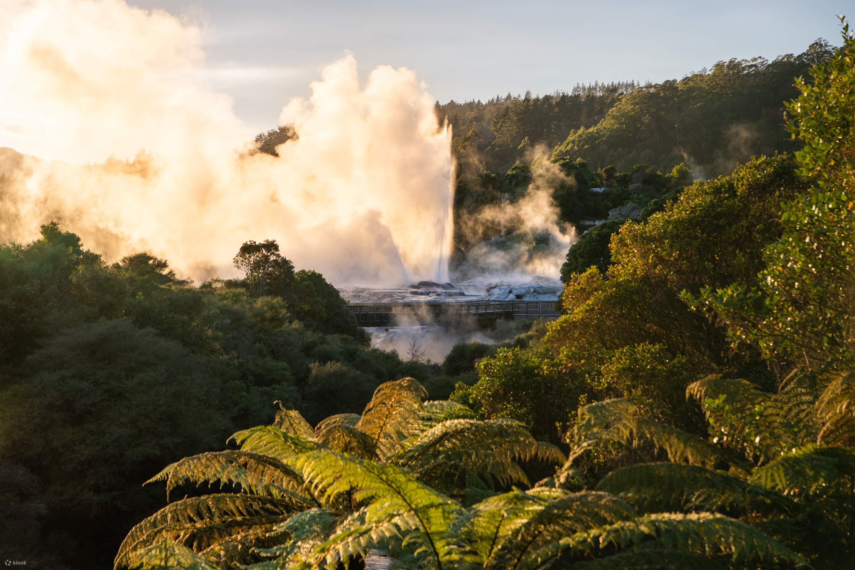 Pass giornaliero Te Puia Rotorua - Klook Stati Uniti