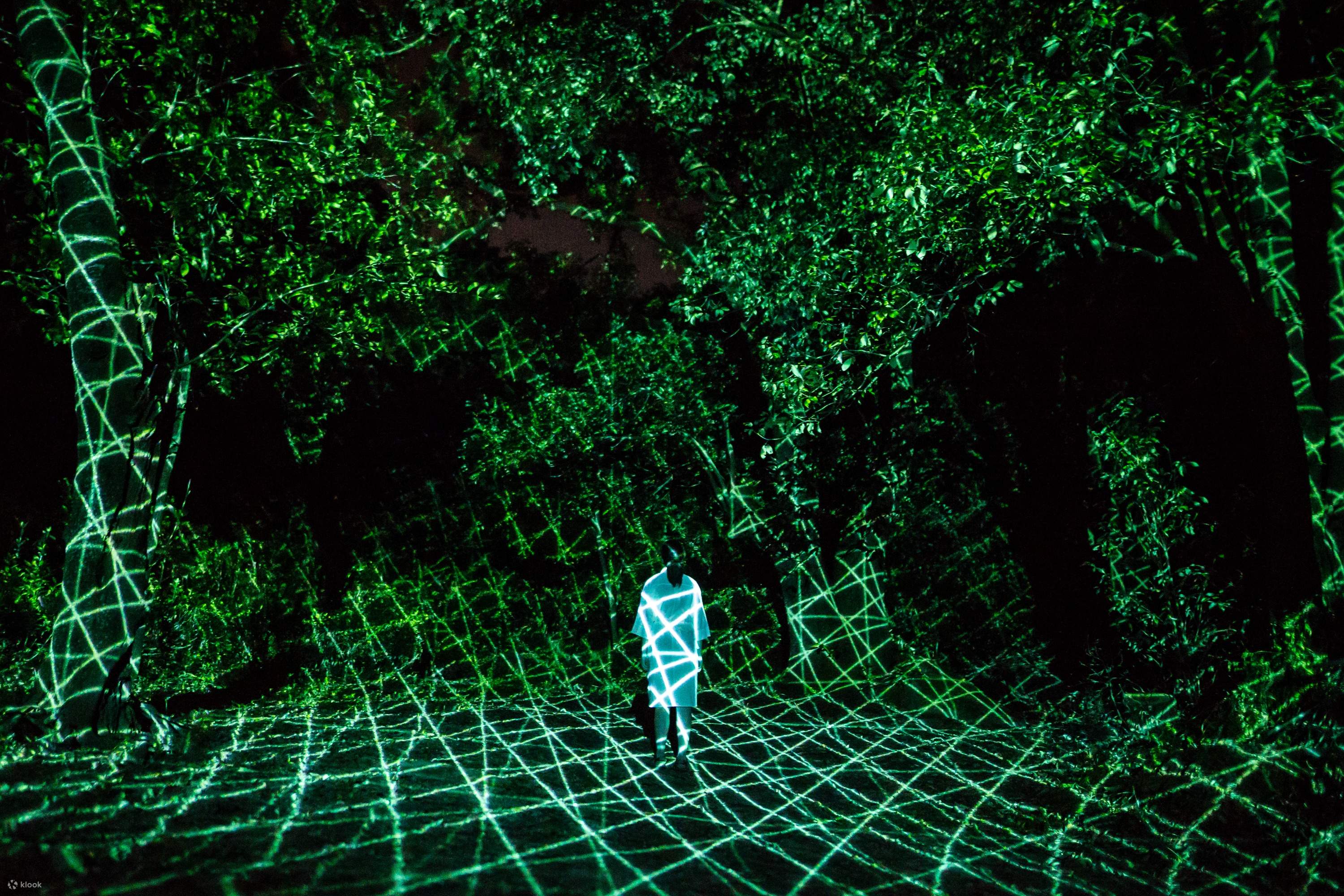 日本大阪長居植物園teamlab Botanical Garden Osaka 門票 Klook香港