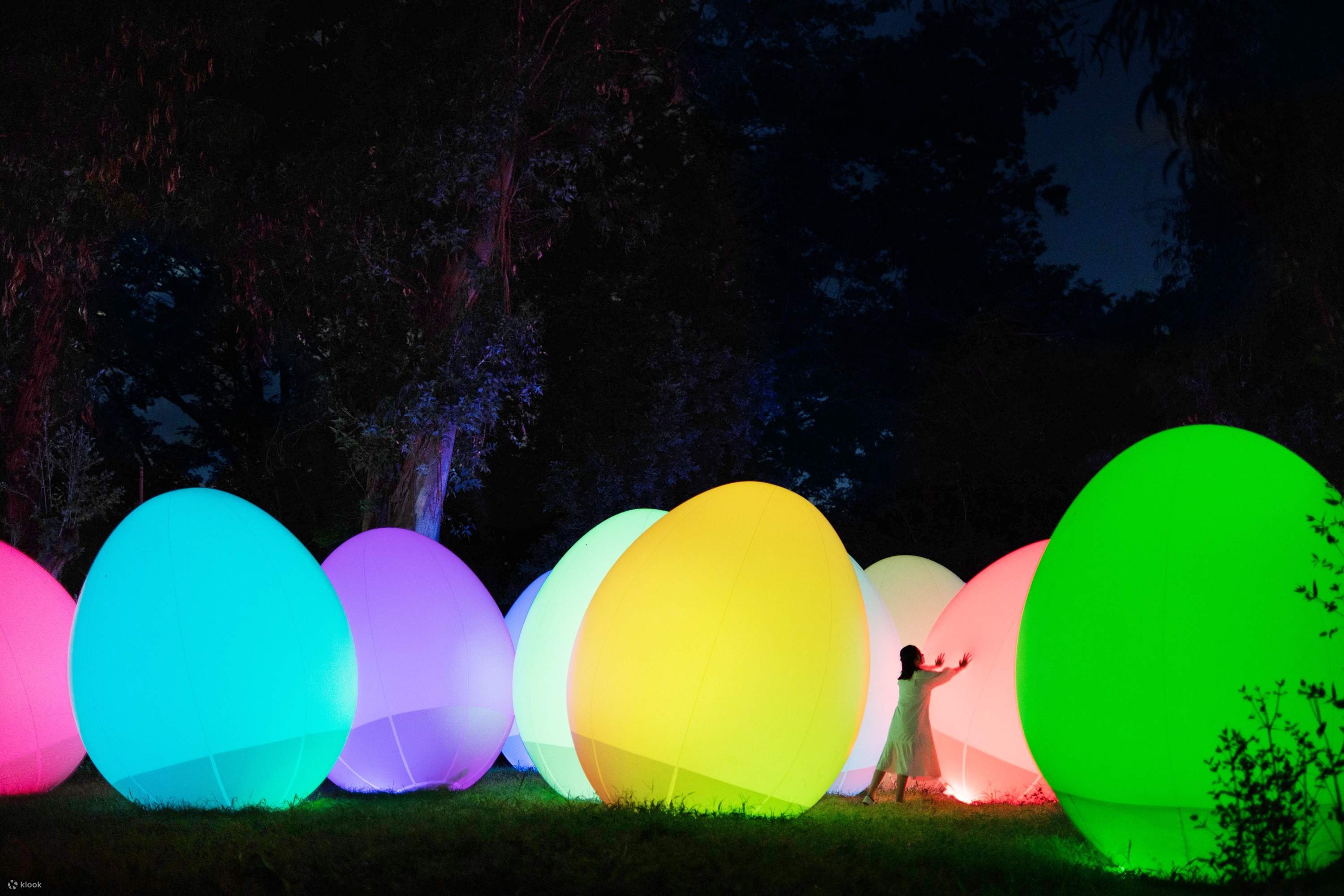 日本大阪長居植物園teamlab Botanical Garden Osaka 門票 Klook香港