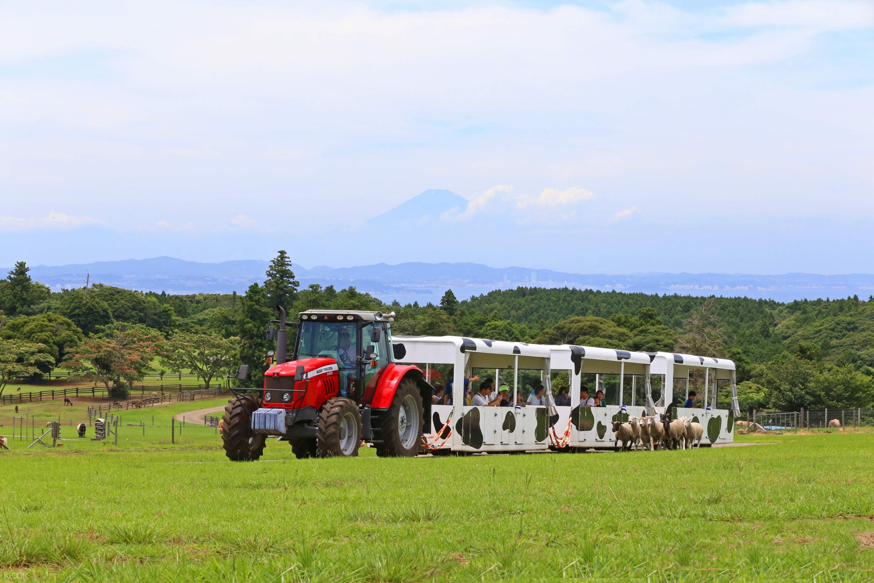 Up To 10 Off Chiba Mother Farm Ticket Tokyo Japan Klook Singapore