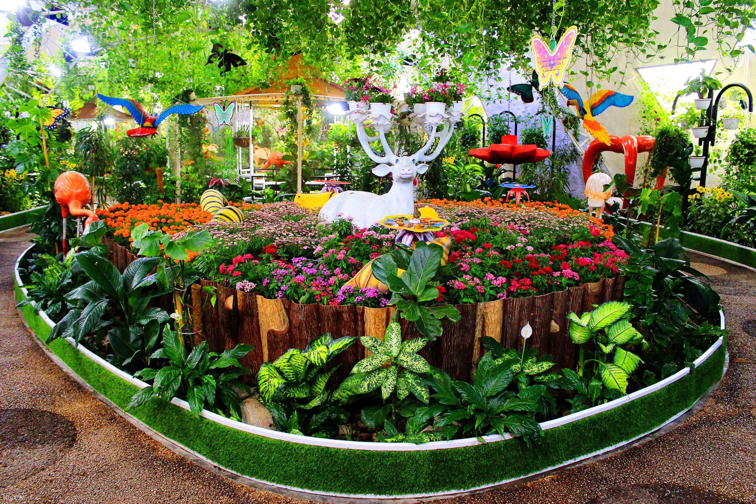 Dubai Butterfly Garden Ticket Direct Entry Klook Uk