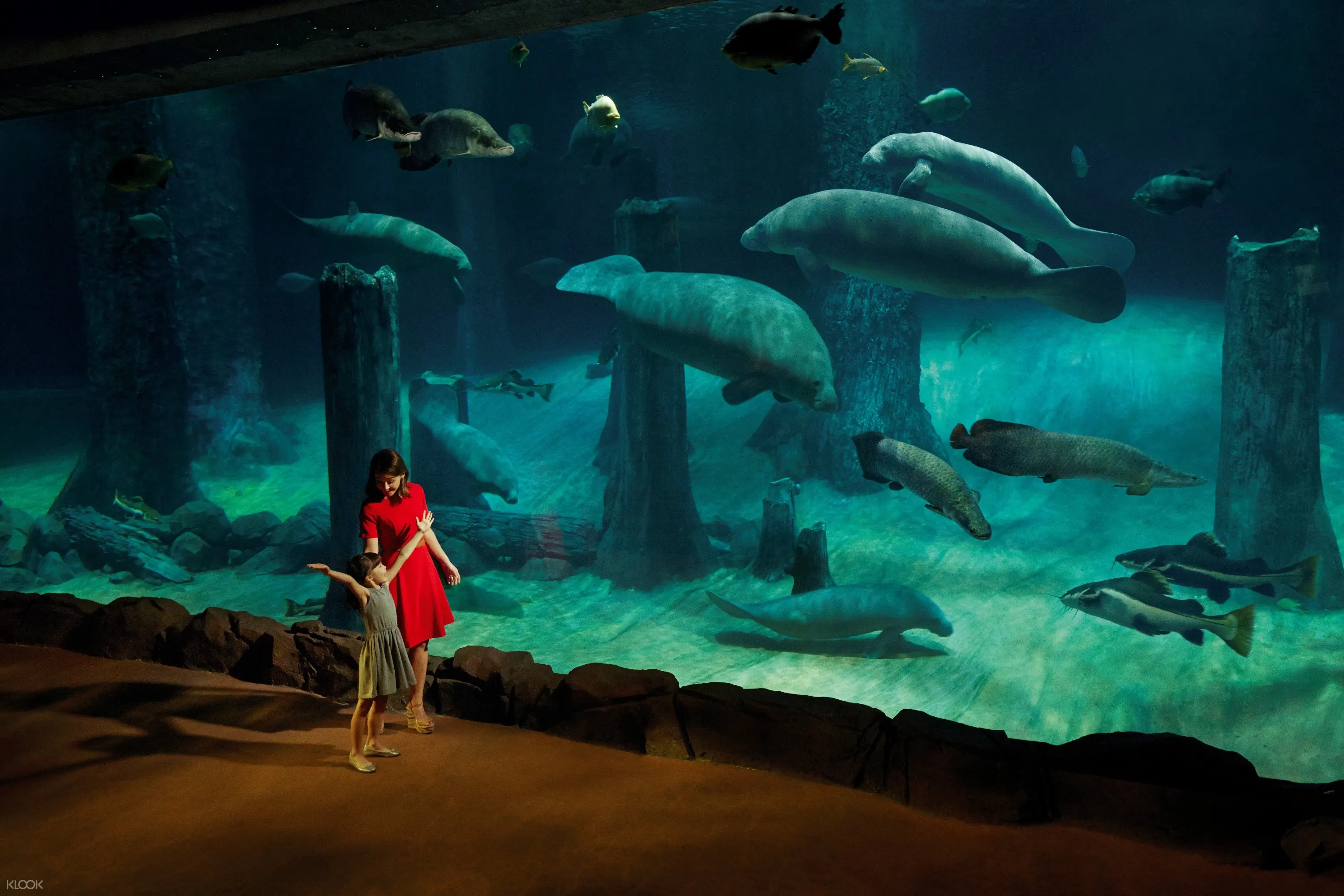 River Safari Singapore Ticket River Safari Singapore Ticket