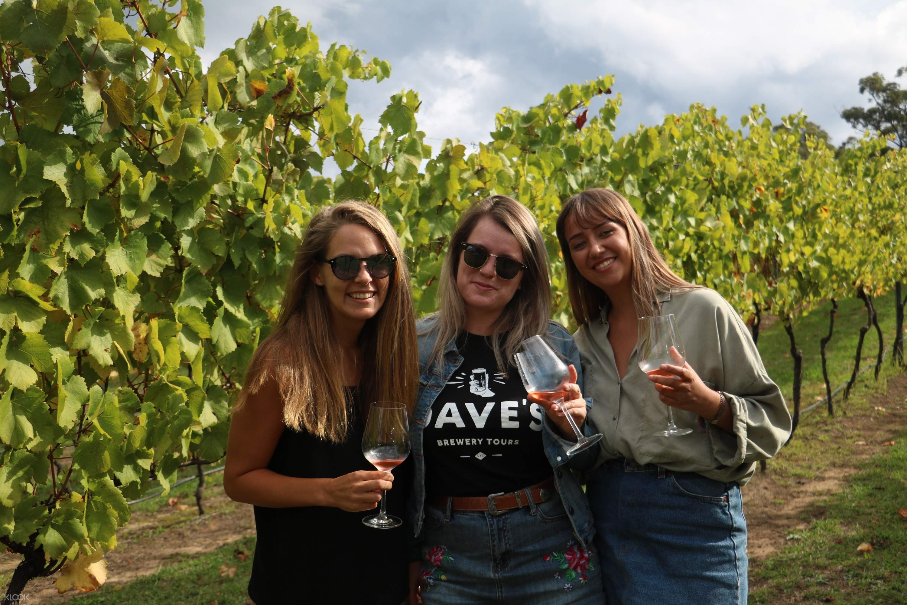 Hunter Valley Beer And Wine Tour Hunter valley tours for two. hunter valley beer and wine tour from hunter valley newcastle or sydney