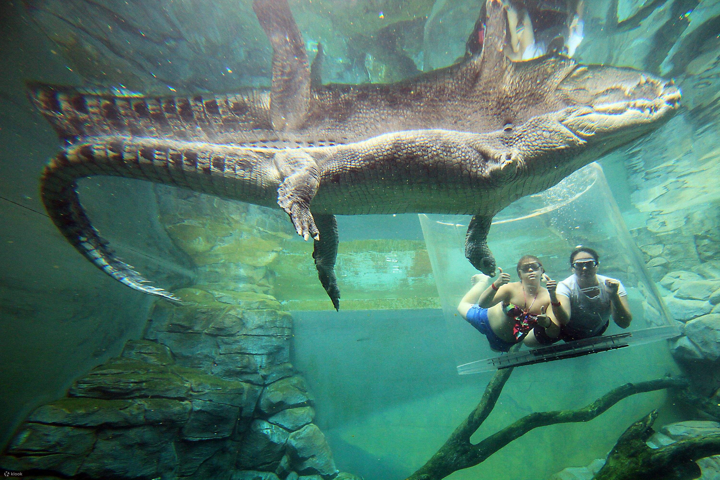 Cage of Death Ticket in Darwin Klook Philippines