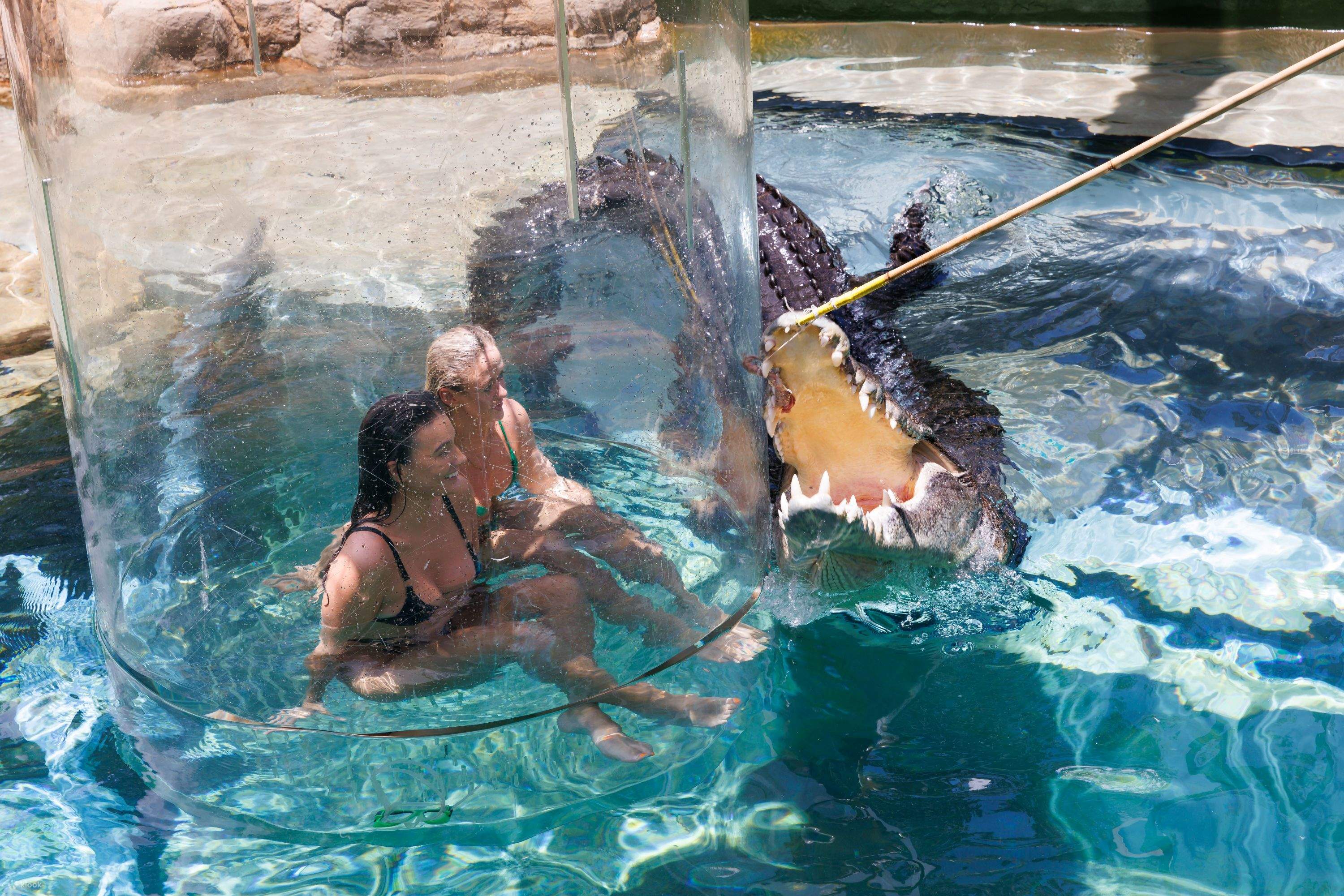 Cage of Death Ticket in Darwin Klook India