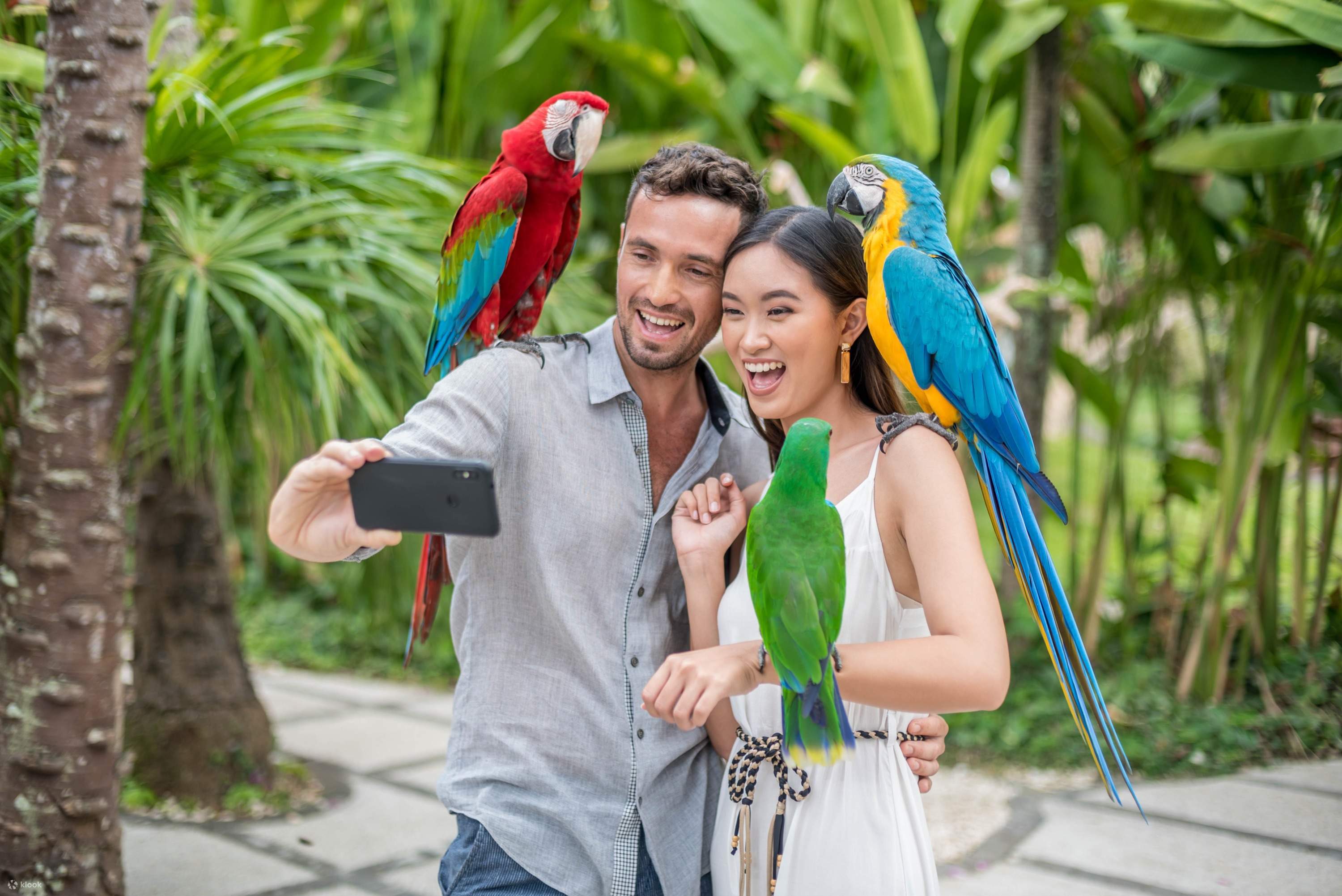 Bali Bird Park Klook
