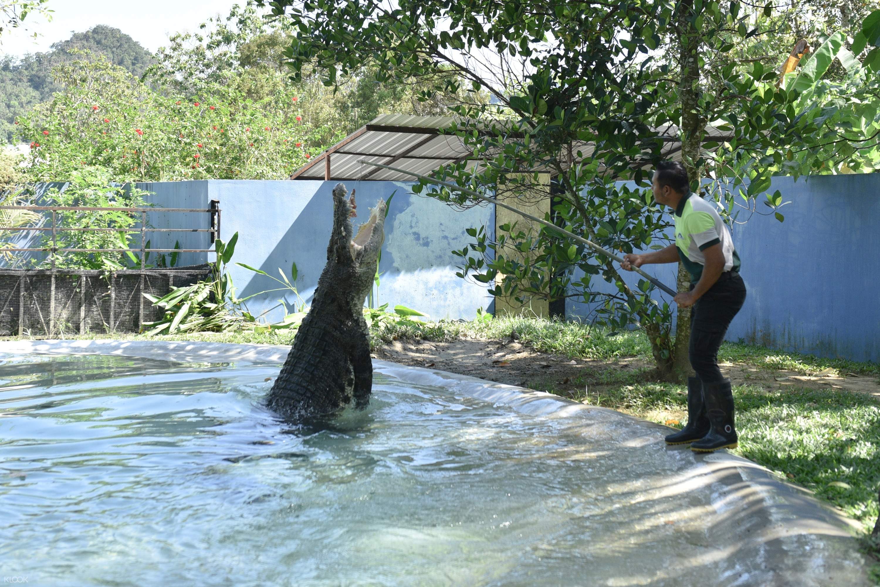 Up To 10 Off Langkawi Wildlife Park Admission Ticket In Malaysia Klook India