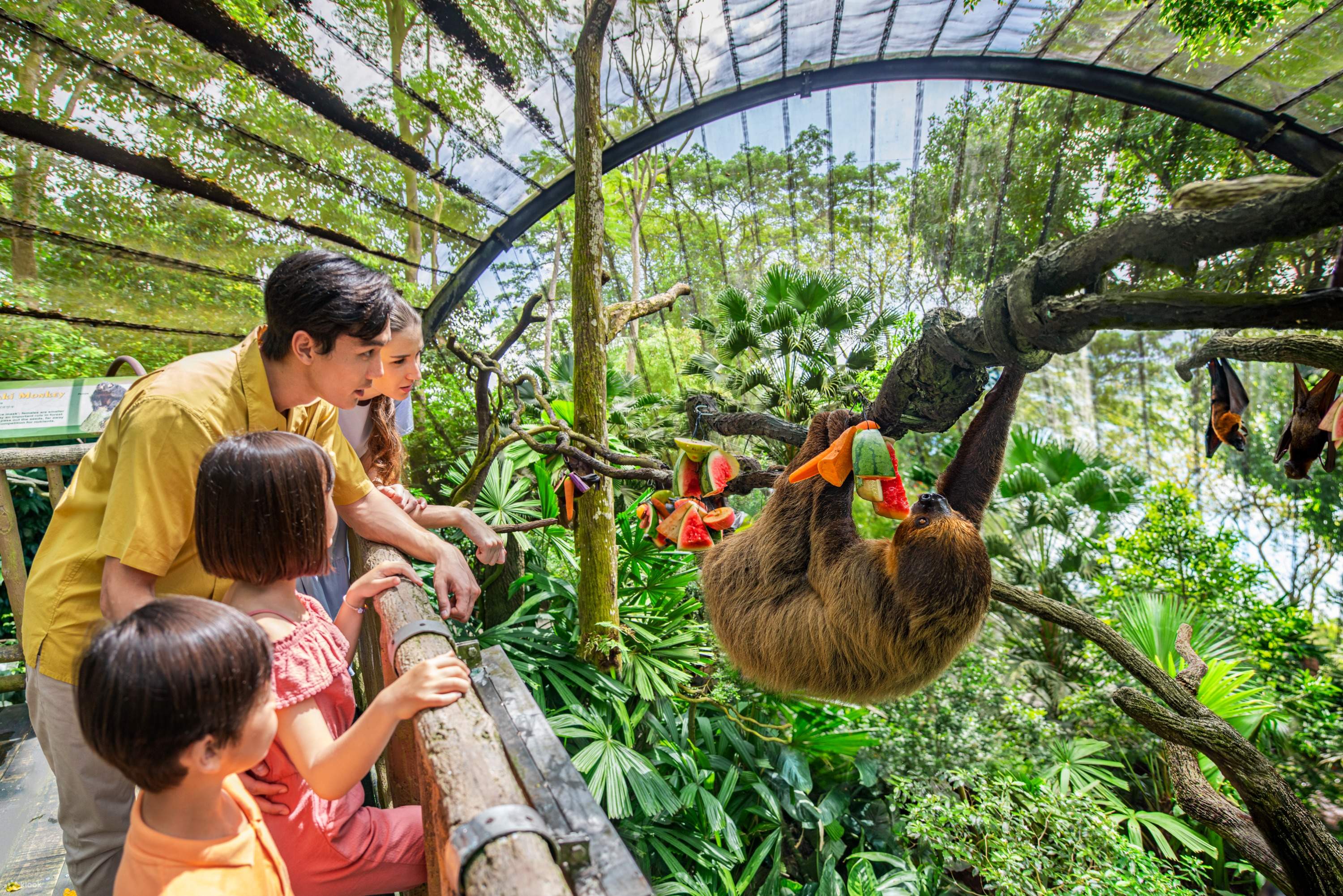 Top 5 địa điểm Singapore. Vé Sở Thú Singapore - Vườn Thú Mở ở Singapore - Klook Việt Nam