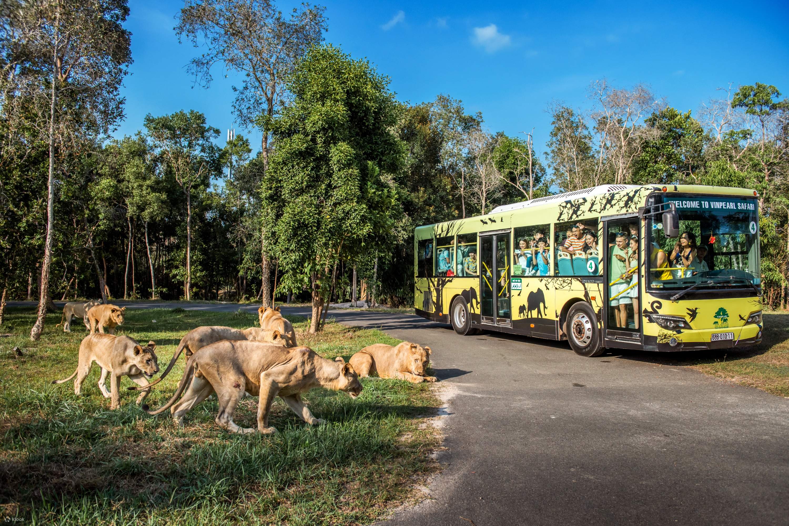 Vé Vinpearl Safari Phú Quốc - Klook Việt Nam