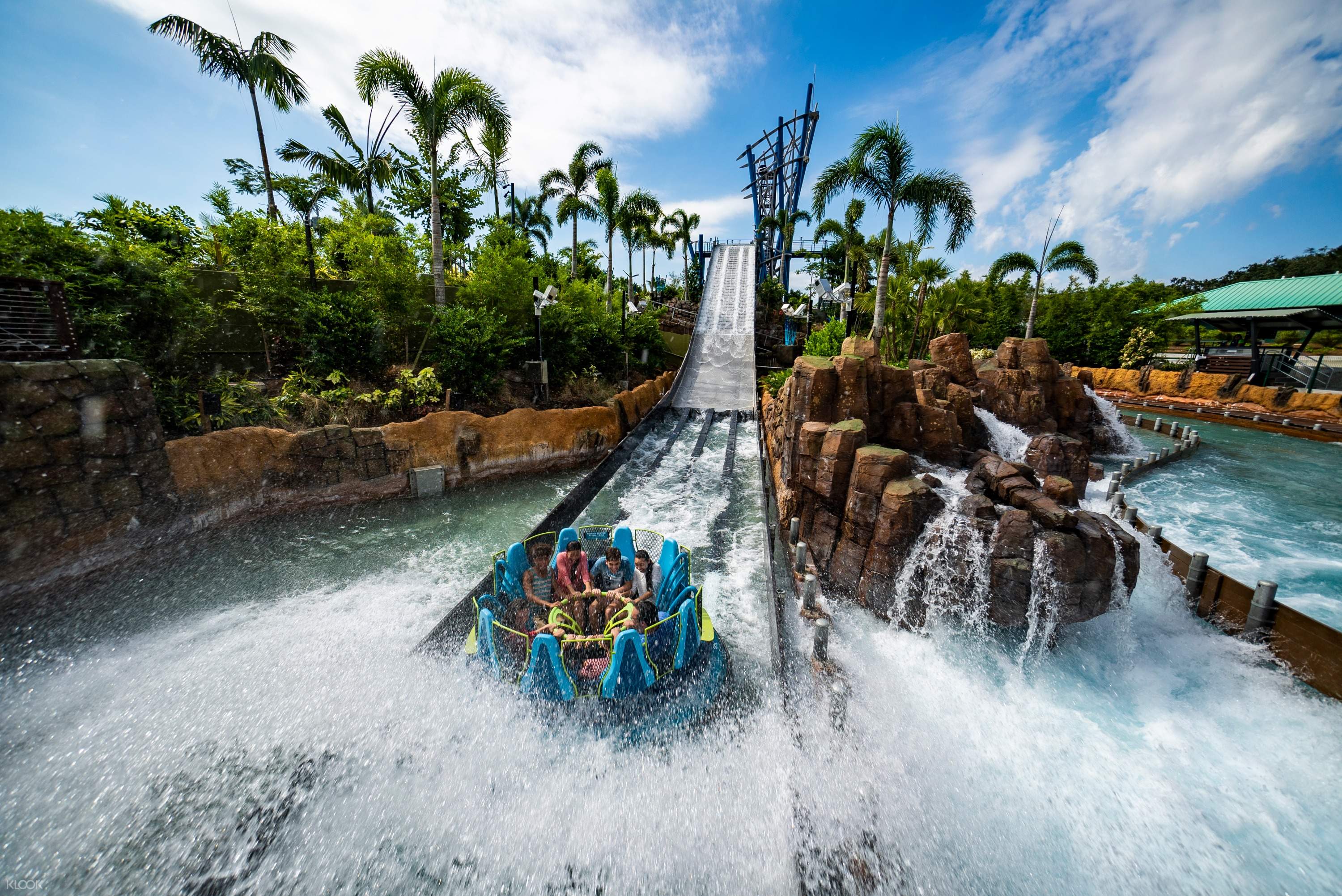 Orlando Attraction Combo Seaworld Aquatica Water Park Tampa Busch Gardens Tampa Adventure Klook India