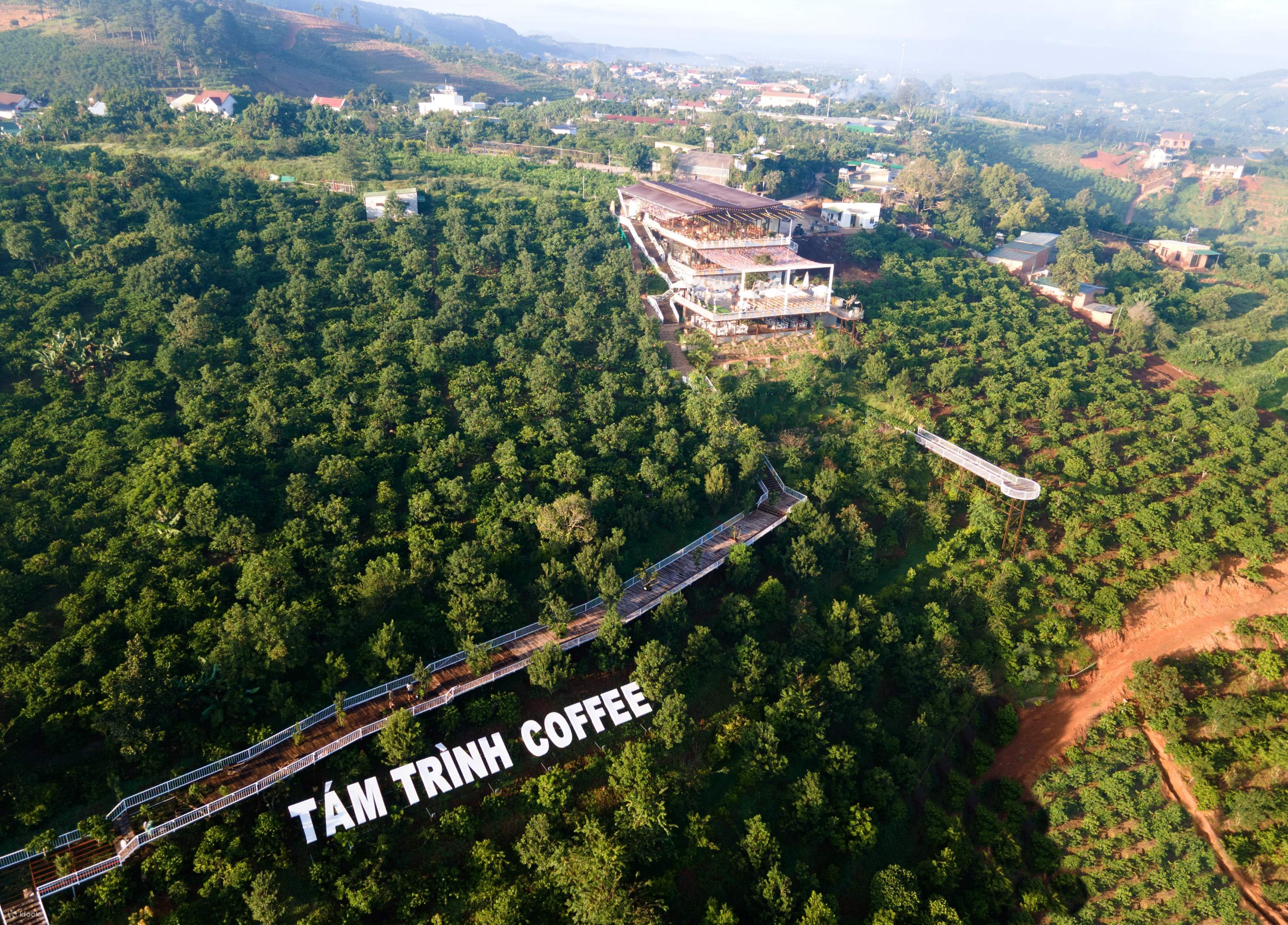 Trải nghiệm tham quan tại nông trại cà phê Tám Trình - Klook Việt Nam