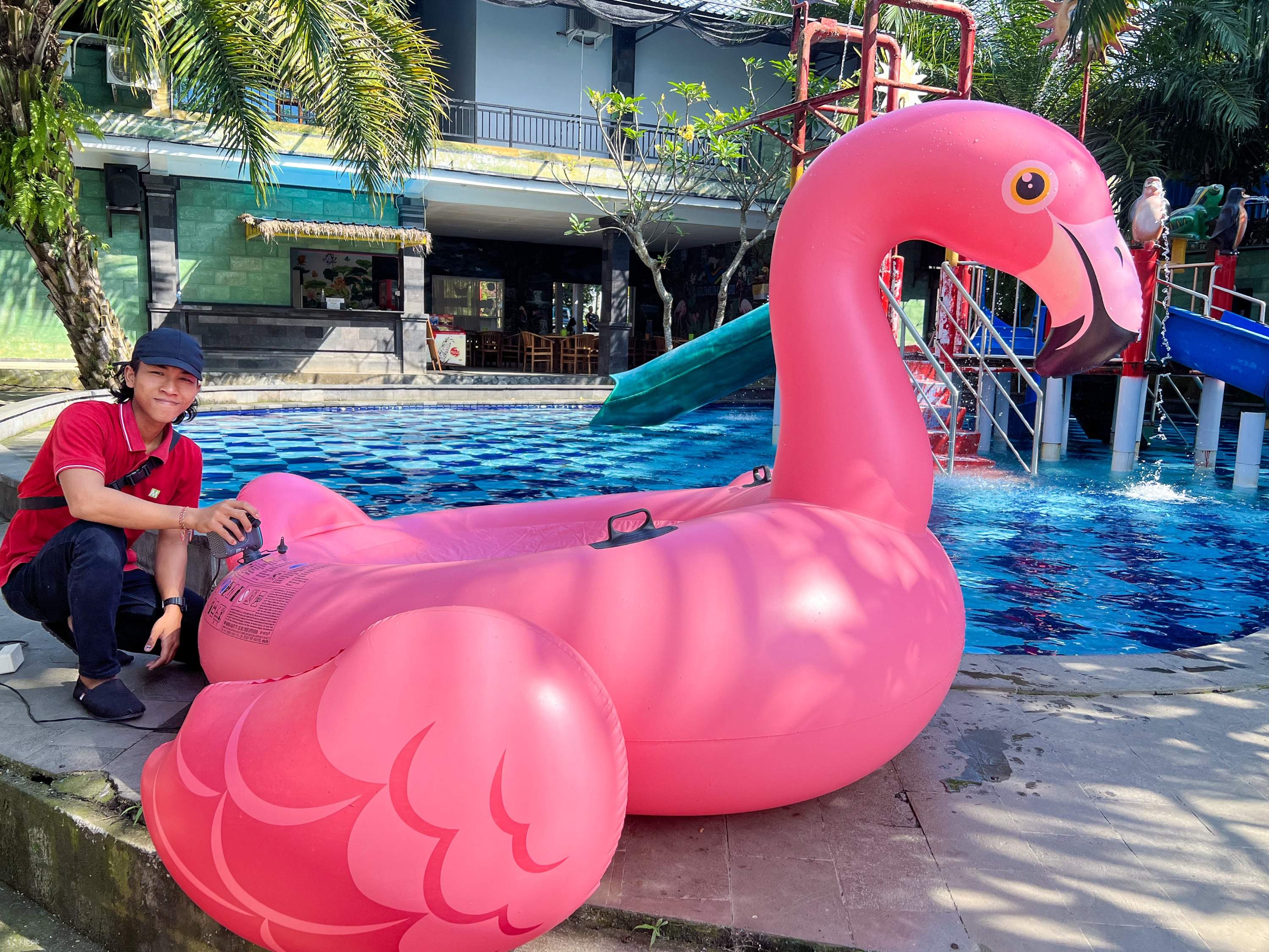 Pink shop swan float