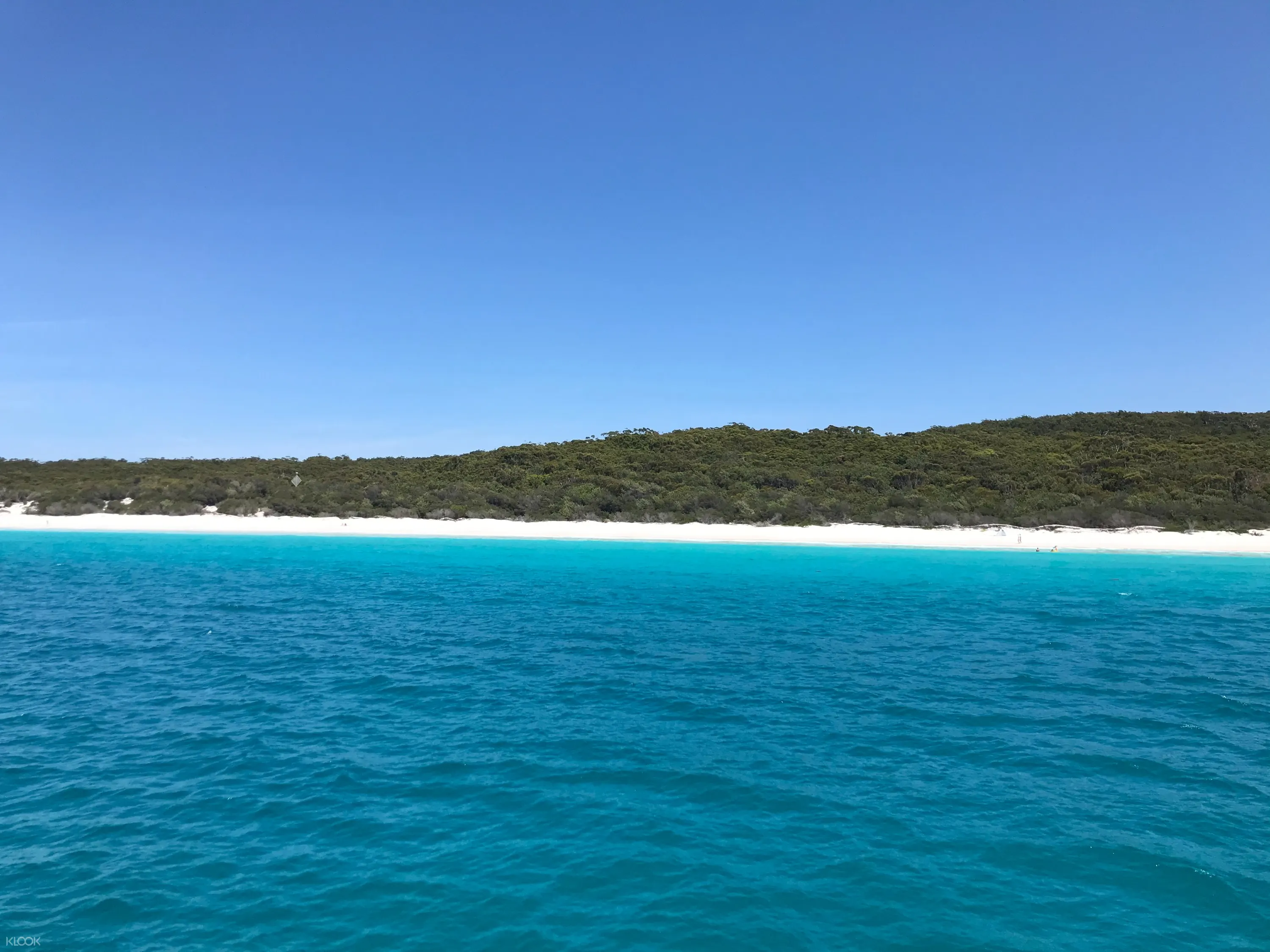 Jervis Bay Dolphin Cruise Klook Us