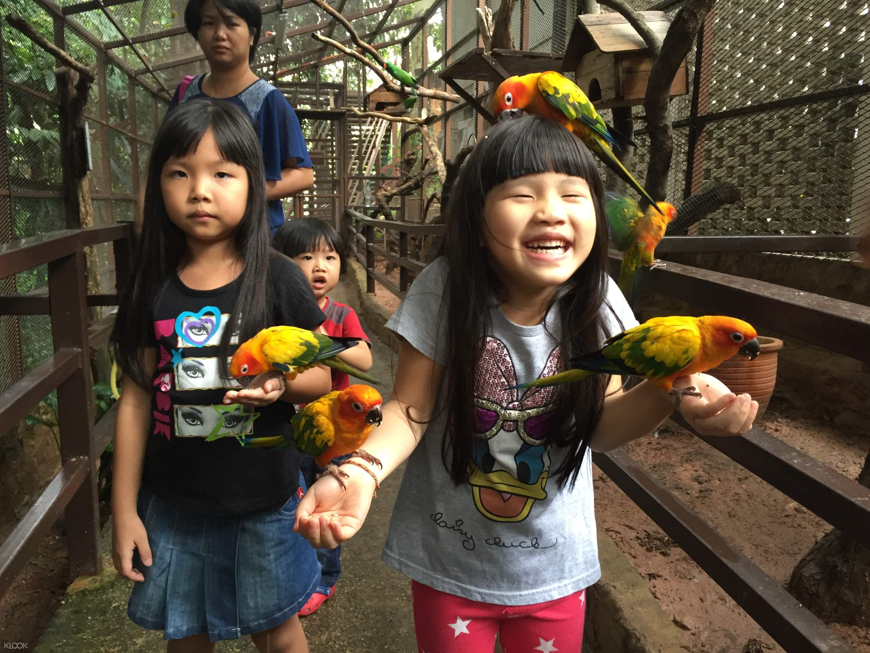 Kl Tower Mini Zoo Discount Ticket In Kuala Lumpur Malaysia Klook Us
