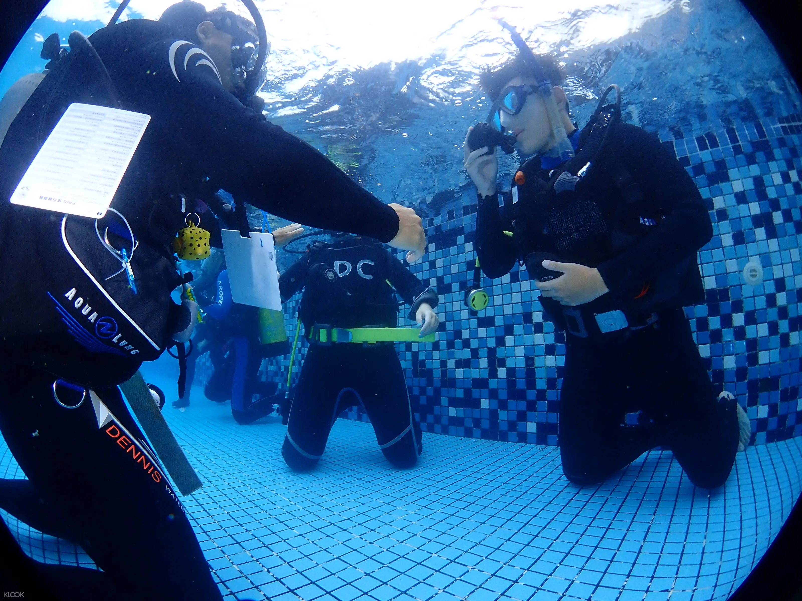 Padi Open Water Diver