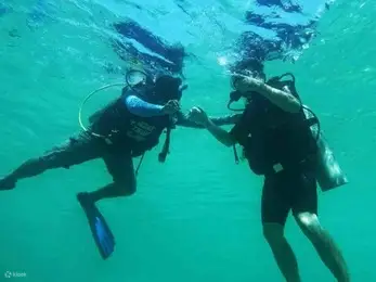 芽庄珊瑚礁水肺潜水体验