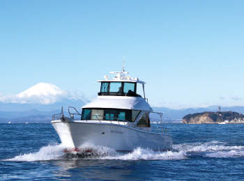 Biglietto conveniente per la penisola di Miura