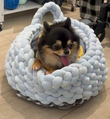 벨벳 털실 손뜨개 애견 침대 만들기 워크숍