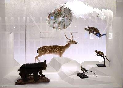 Museum Nasional Taiwan