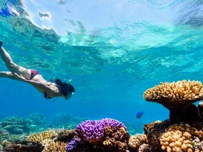 Lawatan Sehari ke Pulau Mantaray