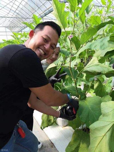 Farm Xperience in Lojing Highlands