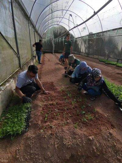Farm Xperience in Lojing Highlands