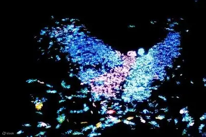 郑州方特梦幻王国精彩表演
