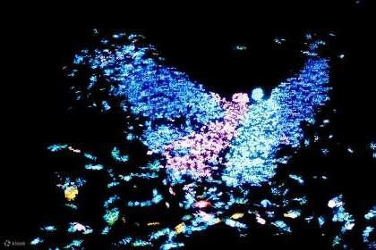 鄭州方特夢幻王國精彩表演