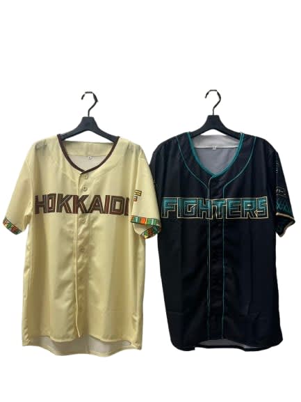 Hokkaido Ballpark F Village Baseball Stadium Tour (Hokkaido) - Klook