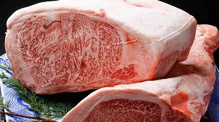 Teppanyaki HIKARI Teppanyaki - Namba, Osaka