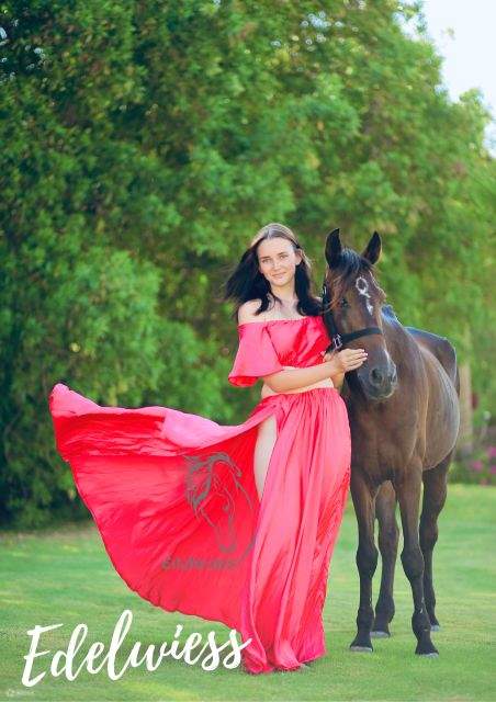 Sharm El Sheikh: Passeggiata a Cavallo Lungo la Costa con Transfer